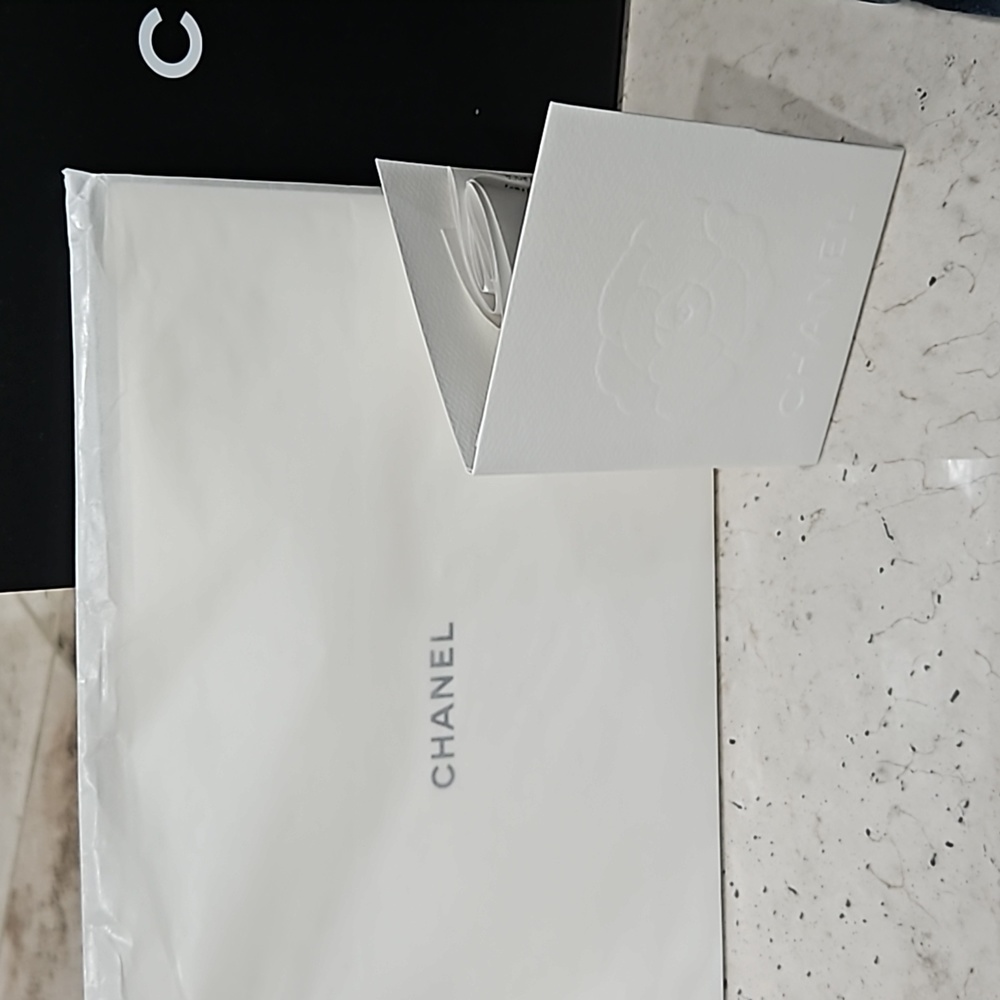 BNIB Chanel Denim 19 Flap - Picture 3 of 14